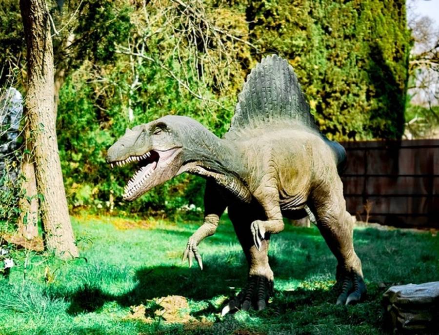 Очаровательная улыбка динозавра