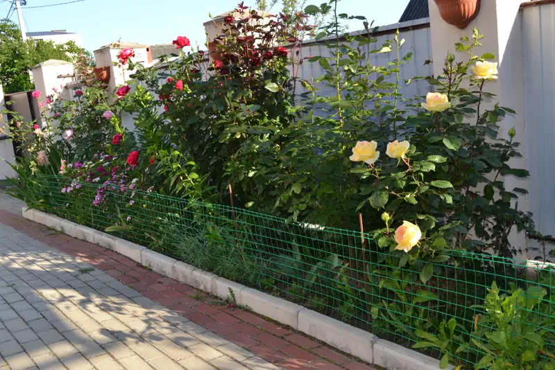 gallery_photo