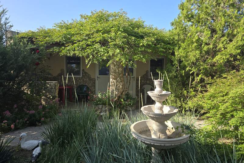 Гостевой дом «Кактус»