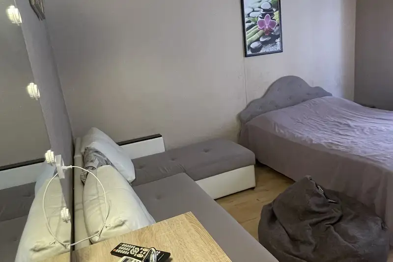 Номер квартирного типа «Agria» ул. Тургенева, д. 97