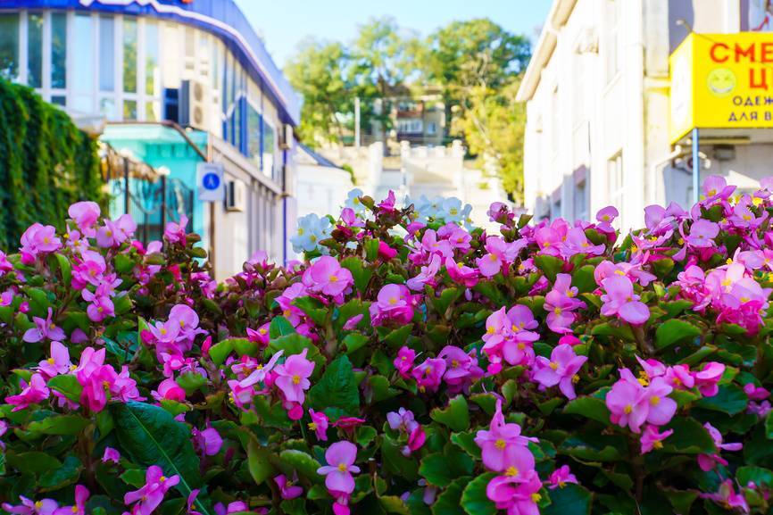 Весенний Керчь. Источник: фотобанк Лори