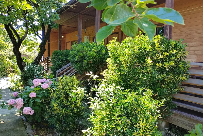 Гостевой дом «Габриэль» ул. Нозадзе, д. 62 «А»