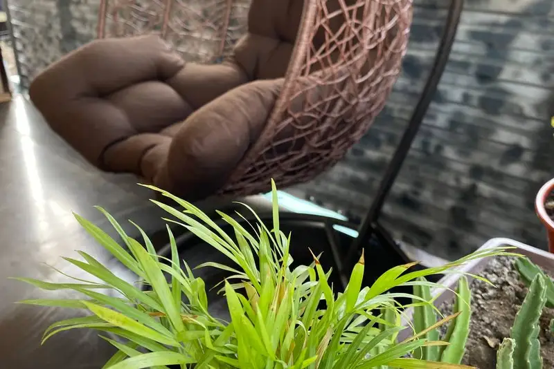 gallery_photo