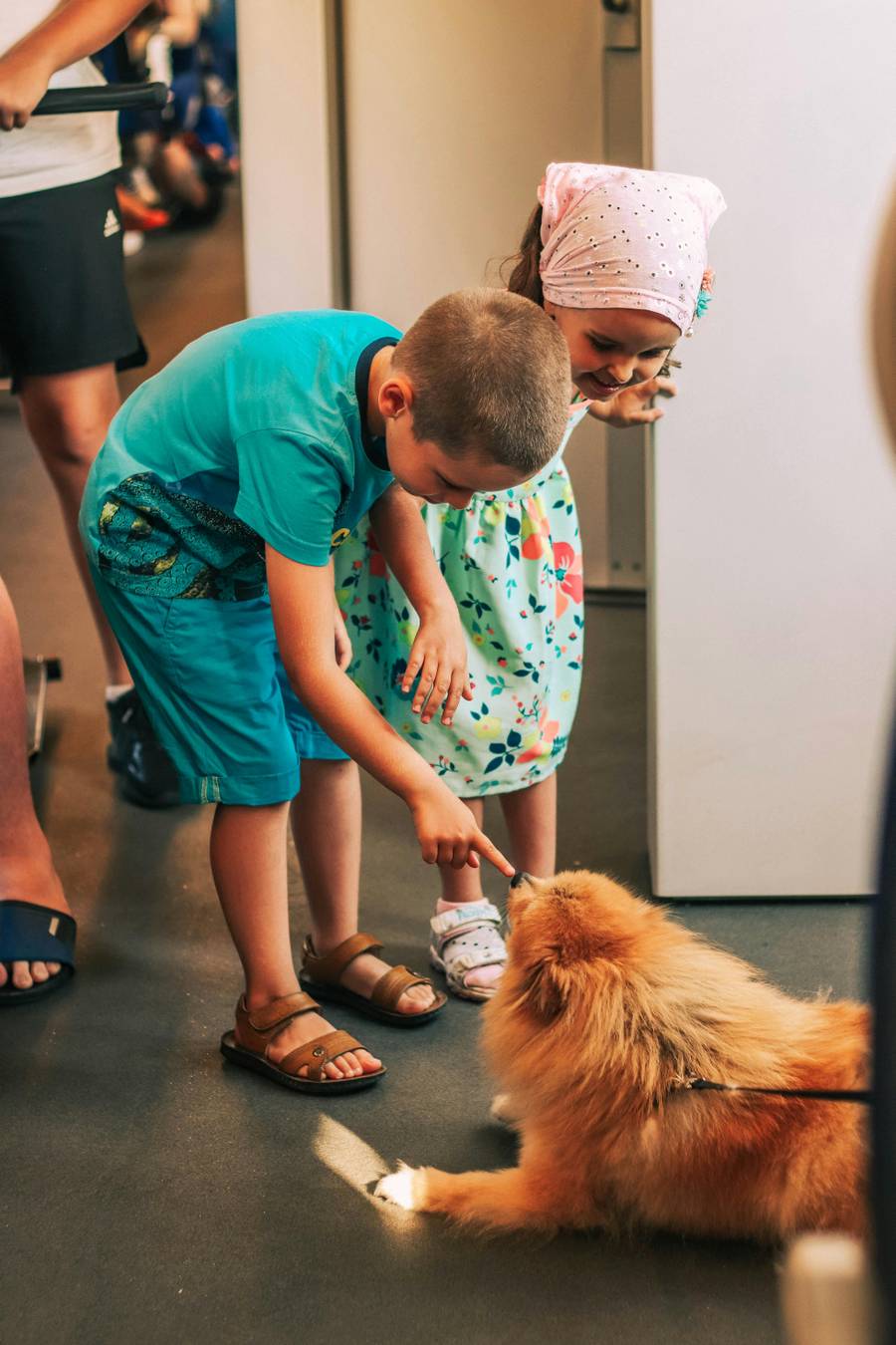 Наилучшее время для отдыха здесь с детьми стоит выбирать исходя из возраста ребенка. Источник:&nbsp;pexels.com