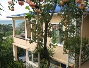 Гостевой дом в центре Гагры, курорт Гагра