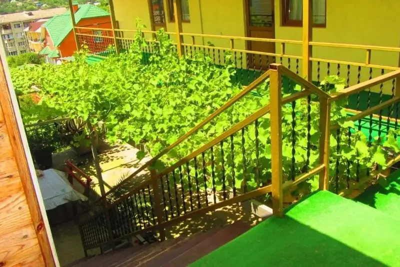 gallery_photo