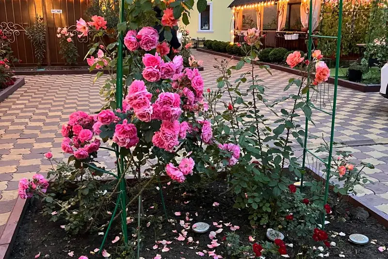 gallery_photo