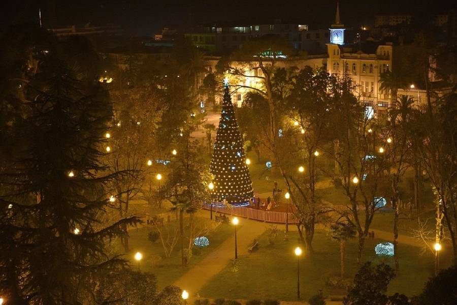 Главная елка Абхазии в Сухуме. Фото: abkhazia-info.ru