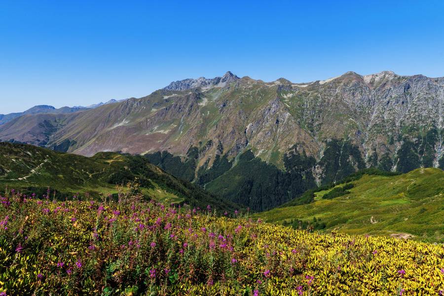В горах возле Гагры, взято на www.pexels.com