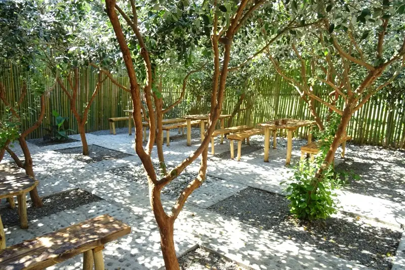 gallery_photo