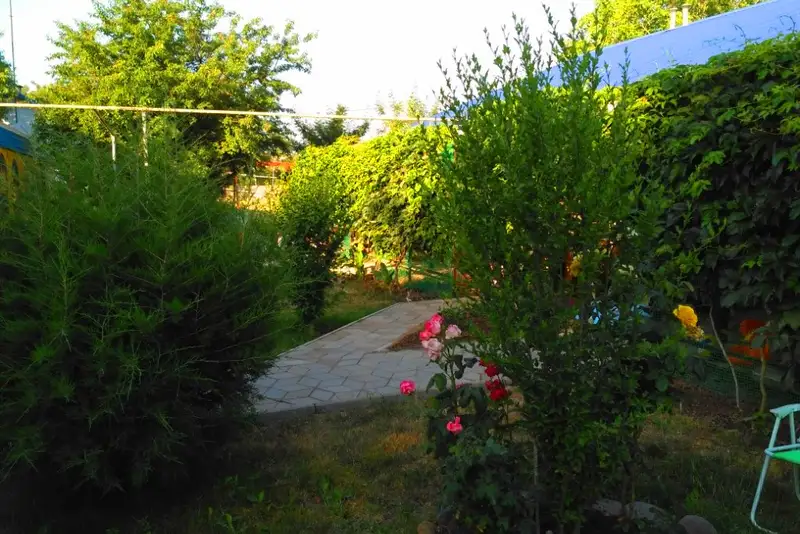 gallery_photo