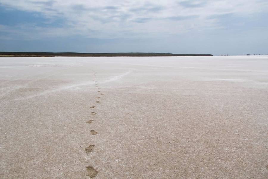 Солёность озера достигает 400 промилле, что делает его одним из самых солёных озёр края