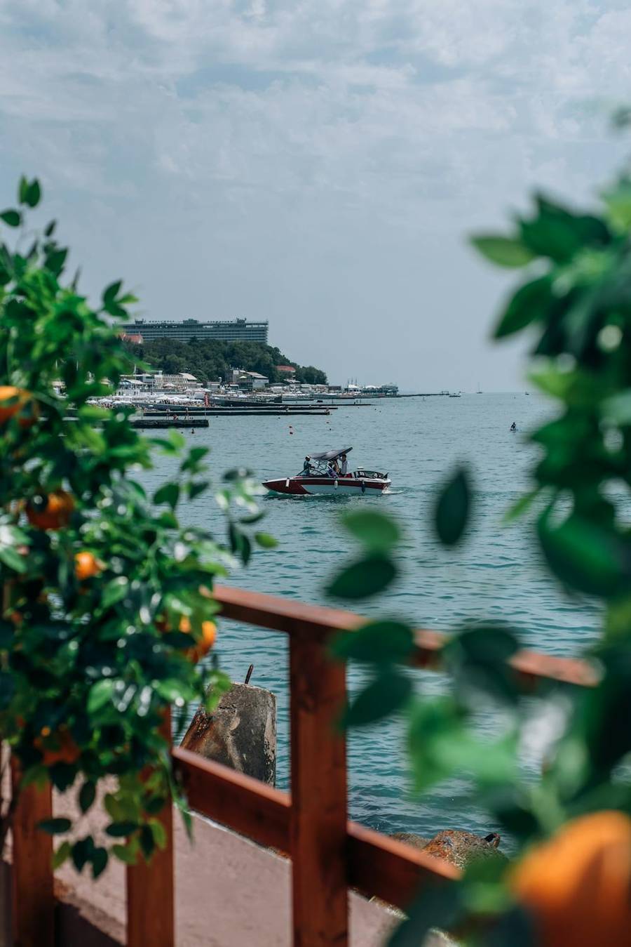 Летний Сочи. Источник:&nbsp;pexels.com