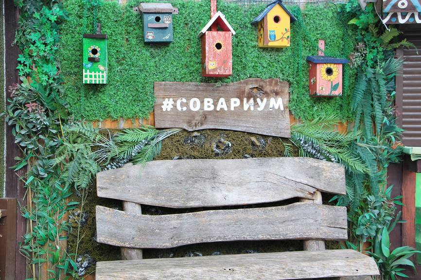Совушек заказывали?&nbsp;Источник: Lori.ru