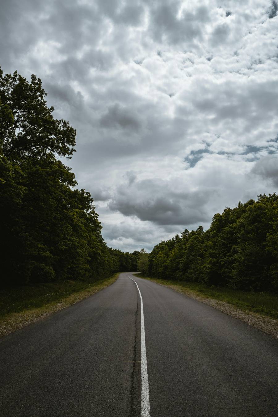 Путешествие в Геленджик можно превратить в чудесное приключение. Источник:&nbsp;pexels.com