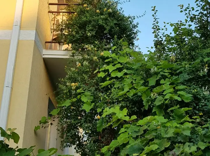 gallery_photo