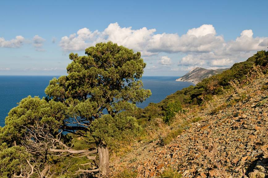 Пейзажи Большого Утриша. Источник: фотобанк Лори