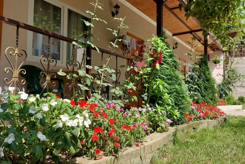gallery_photo