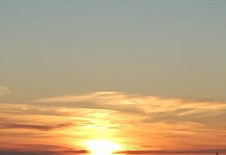 gallery_photo