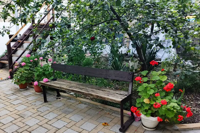 gallery_photo