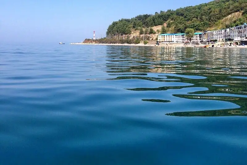 gallery_photo