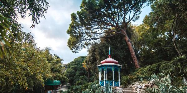 Никитский ботанический сад: царство экзотов, цветов и реликтов