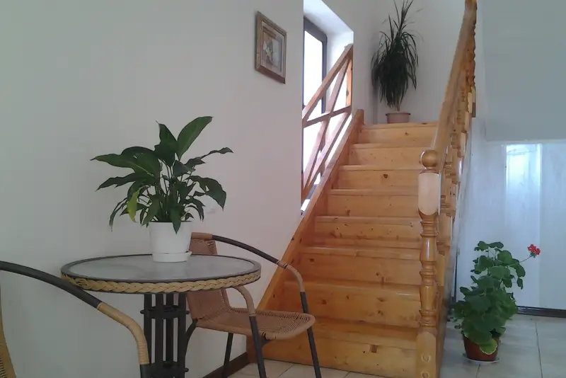 gallery_photo