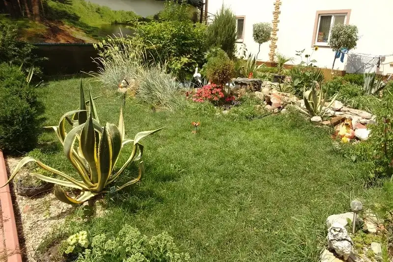 gallery_photo