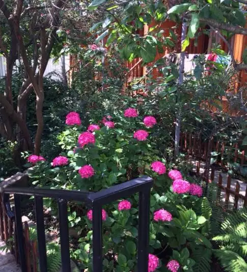 gallery_photo