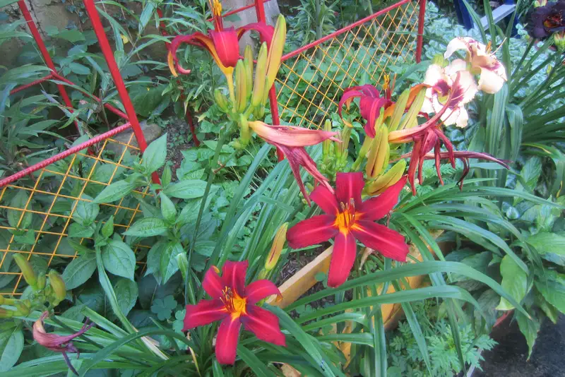 Частный дом на Победы 210/11 ул. Победы, д. 210/11