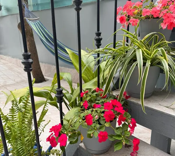 gallery_photo