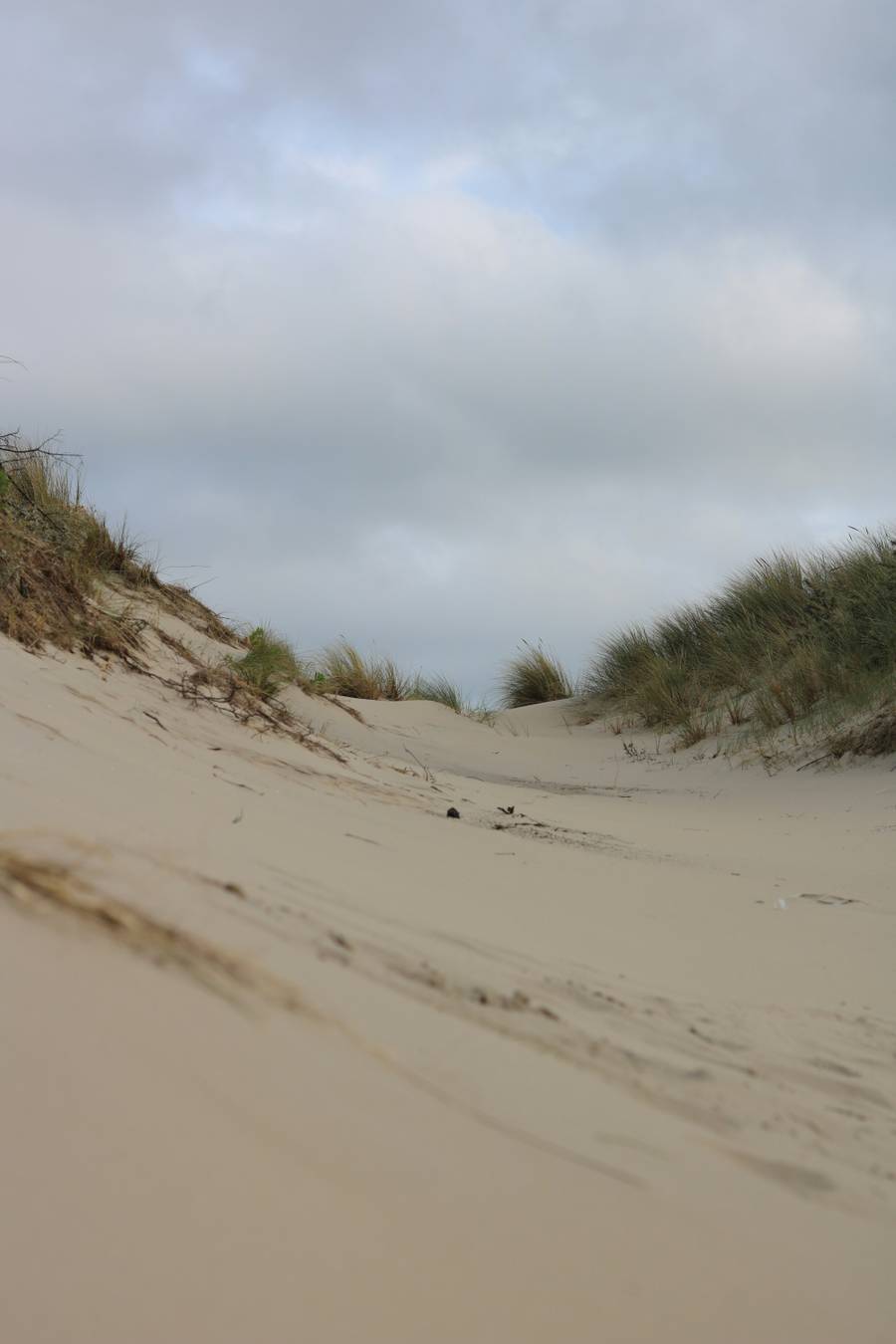 Дюны под Анапой. Источник: unsplash.com