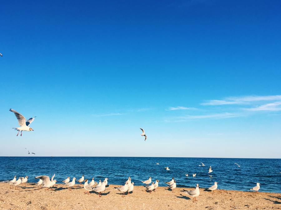 Май — прекрасное время для отдыха.&nbsp;Источник: unsplash.com