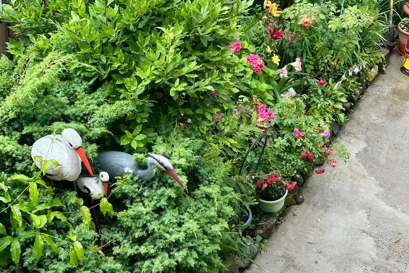 gallery_photo