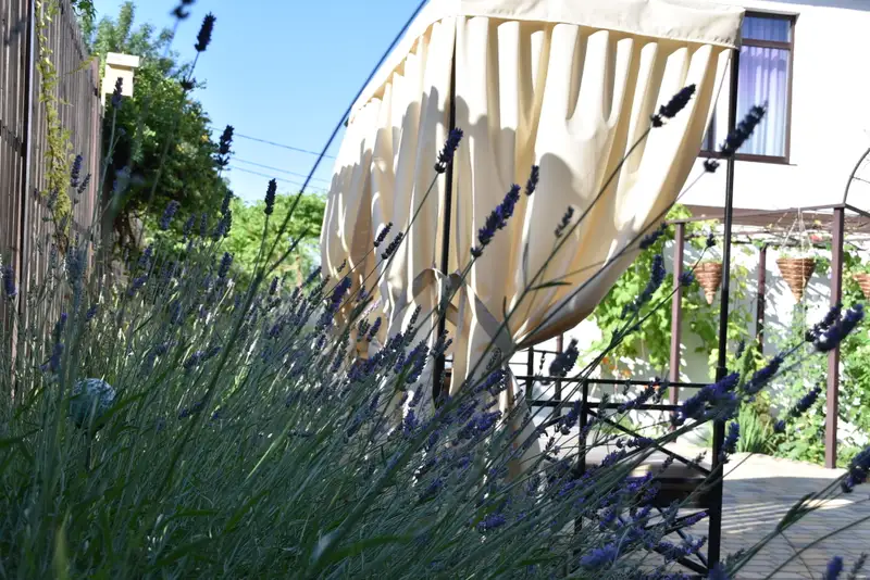 gallery_photo