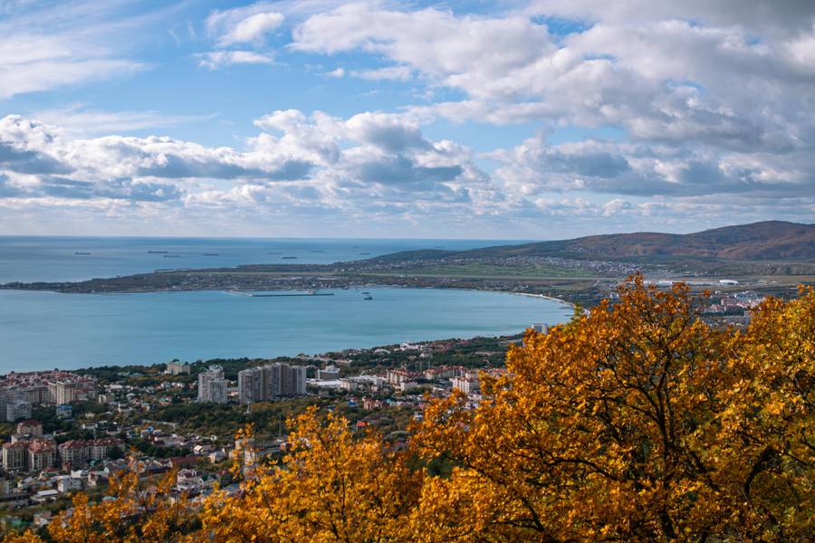 Вид на Геленджик. Источник: pexels.com