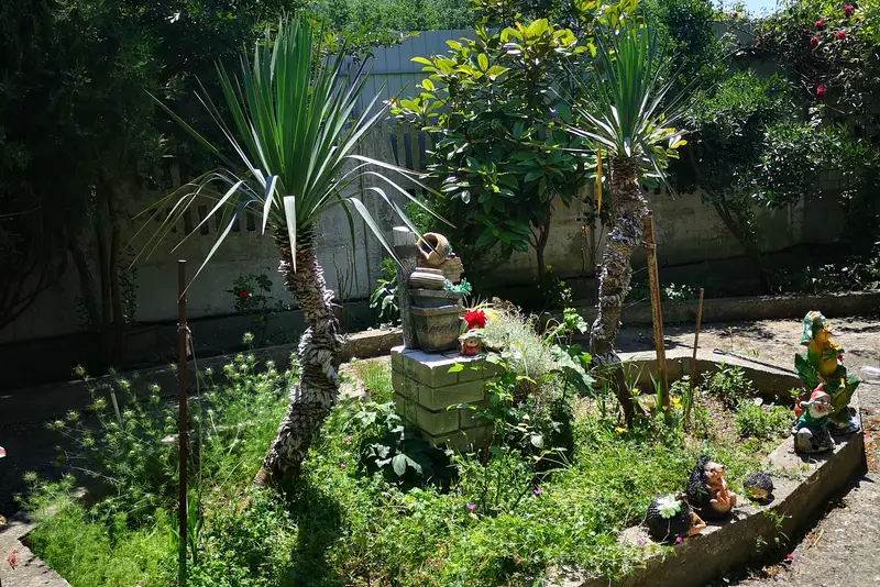 gallery_photo