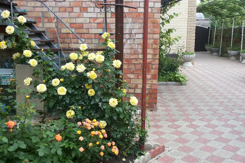 gallery_photo