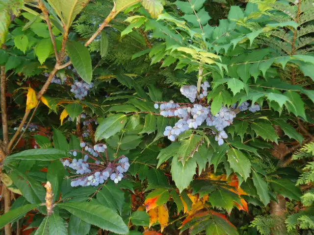 gallery_photo