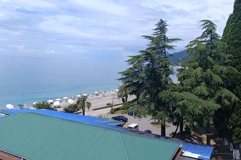 Двухкомнатная квартира пр-кт Ардзинба, д. 12, кв. 44