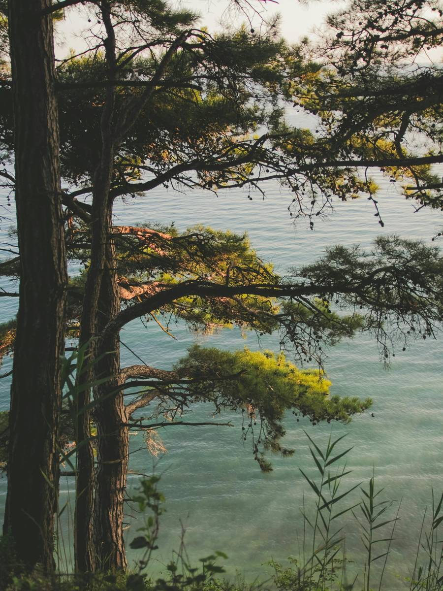 Виды со смотровой. Источник: pexels.com