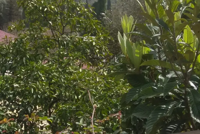 Частный дом «Уютный дом у моря» ул. Чанба, д. 14