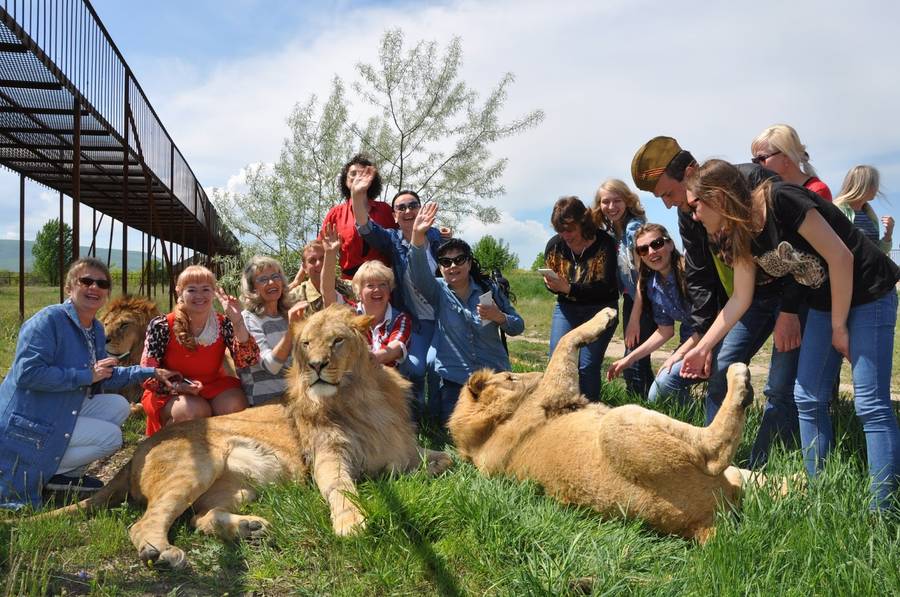 Сафари-парк «Тайган». Фото: пресс-служба парка львов «Тайган»