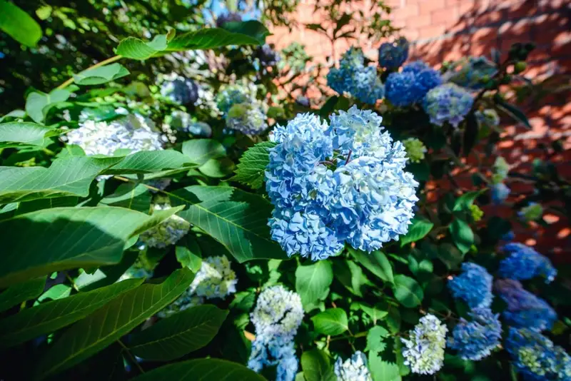 gallery_photo