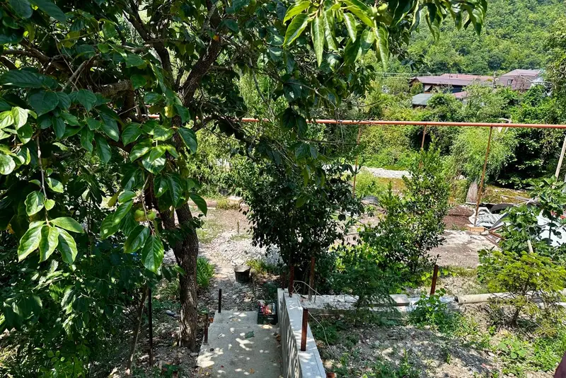 gallery_photo