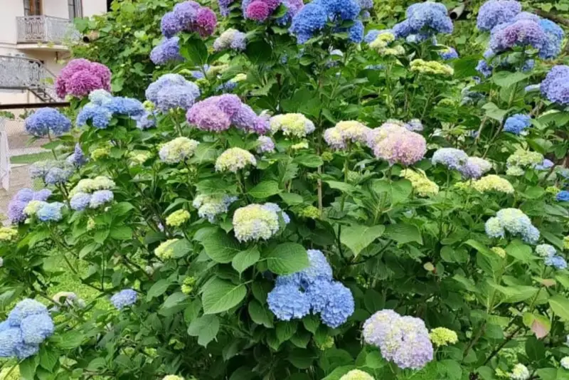 gallery_photo
