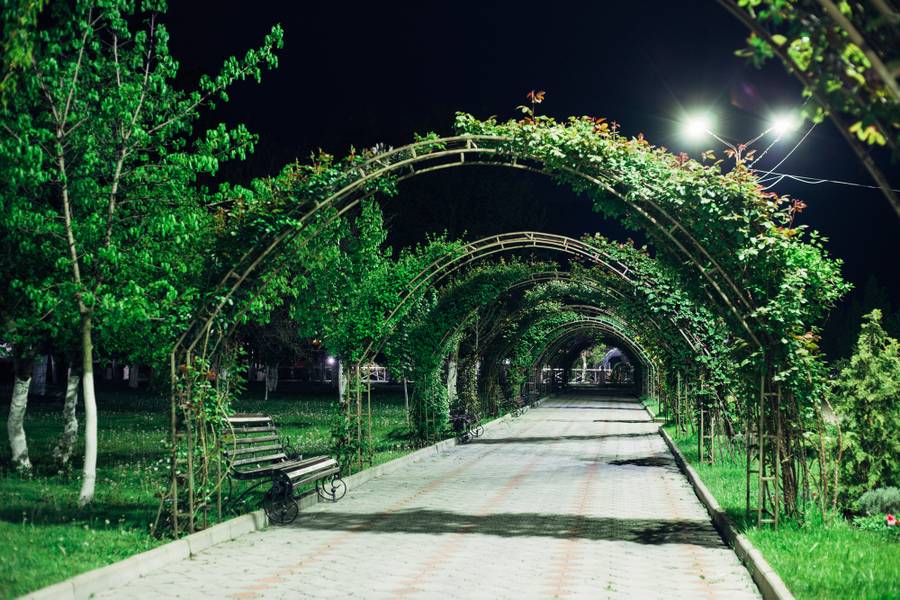 Парк Абрау-Дюрсо ночью. Фото: kukarta.ru