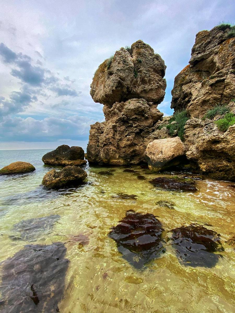 Природа Крыма уникальна. Источник:&nbsp;pexels.com