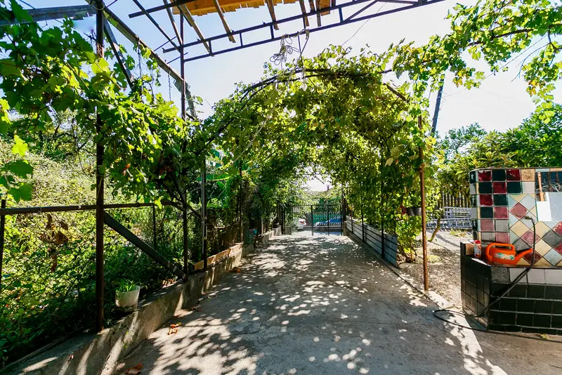 gallery_photo