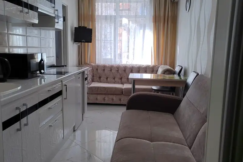 Квартира однокомнатная ул. Нижнеимеретинская, д. 137 «А»